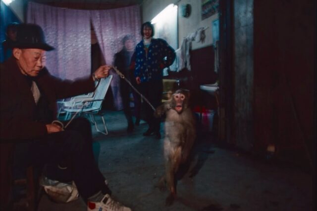 Selected work by Greg Girard (@gregforaday) #thezonezine