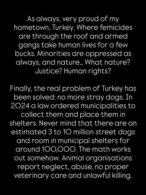 Shame on us.