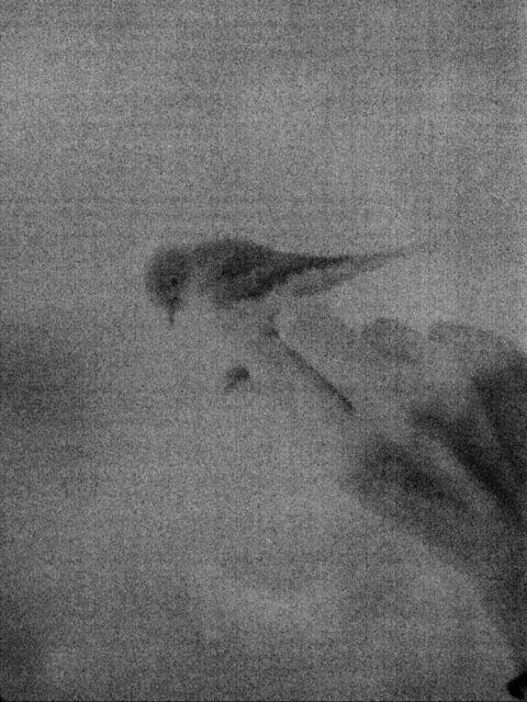More submissions from the Open Call for our 6th collective book ~ Link in bio! We will share our favorite submissions on social media throughout and after the call even if they don’t make it in the book!

Follow @Zone.Editions, dedicated to our books and a safe backup for our main feed.

#OPENCALL
#THEZONEZINE