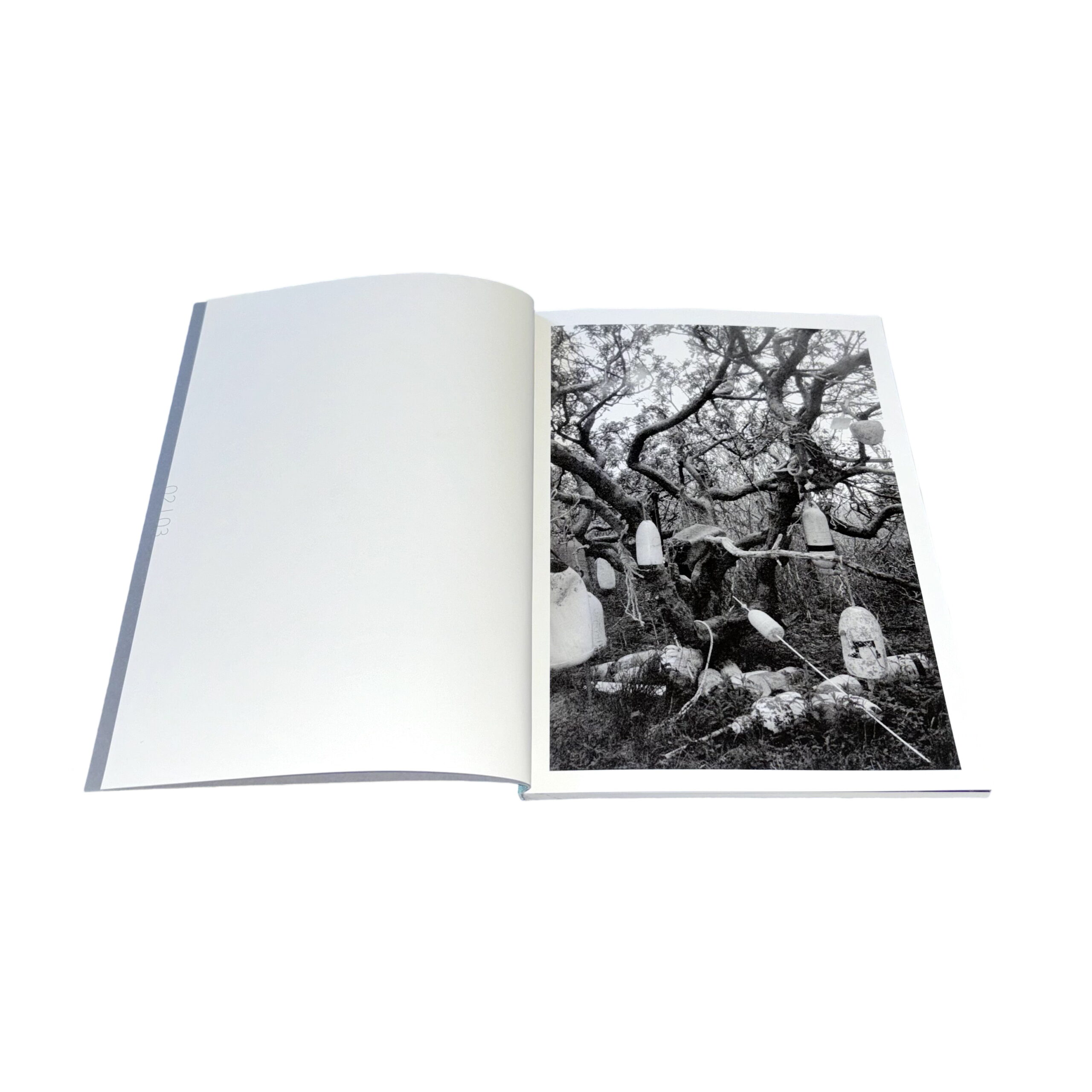 The Big Rot - Image 2