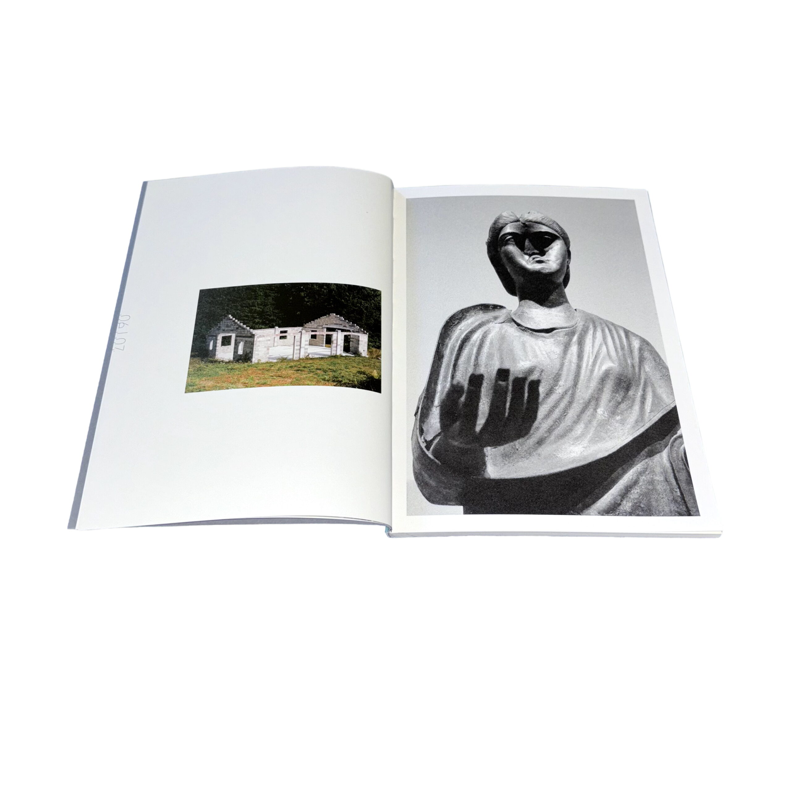 The Big Rot - Image 3