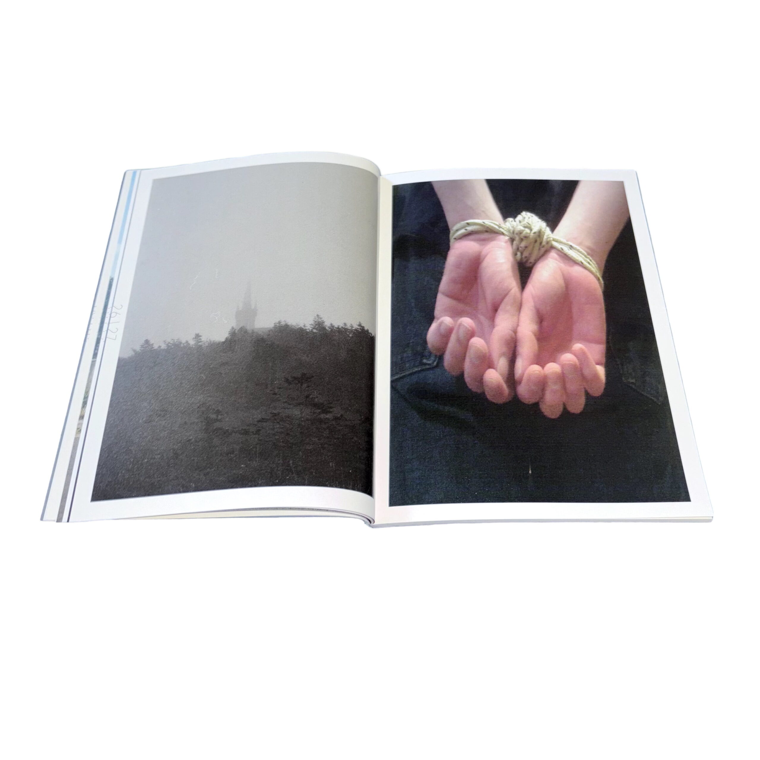 The Big Rot - Image 7
