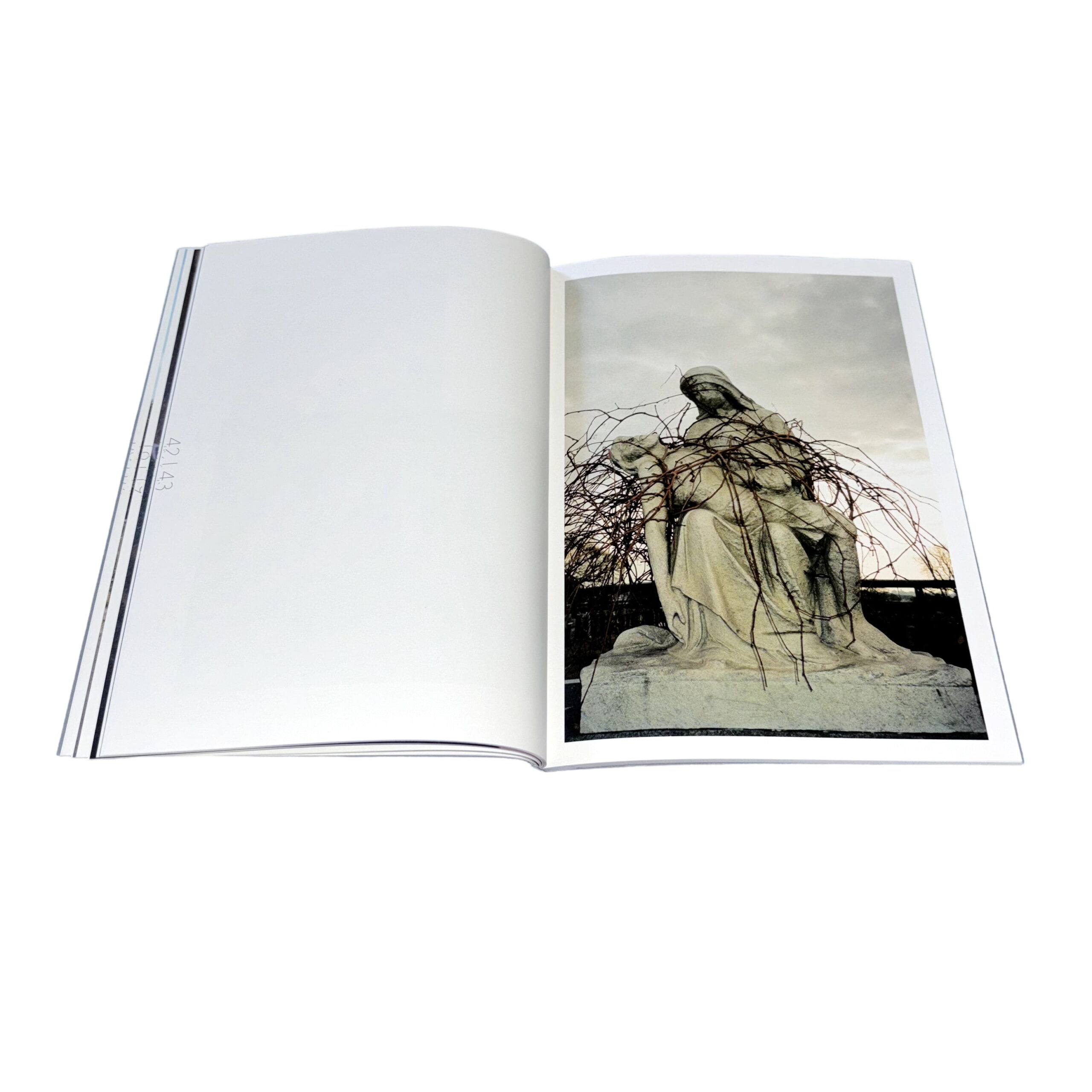The Big Rot - Image 9