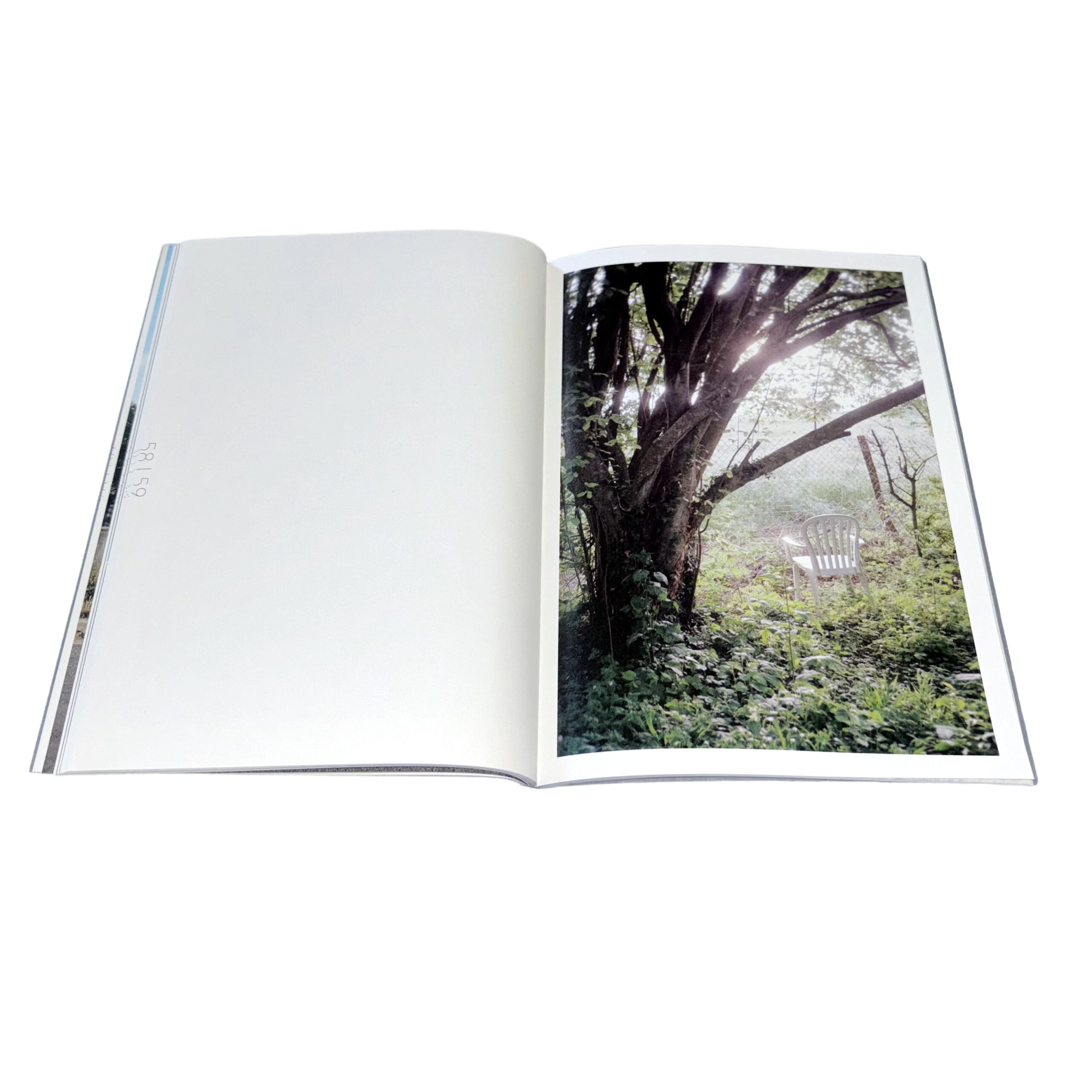 The Big Rot - Image 11