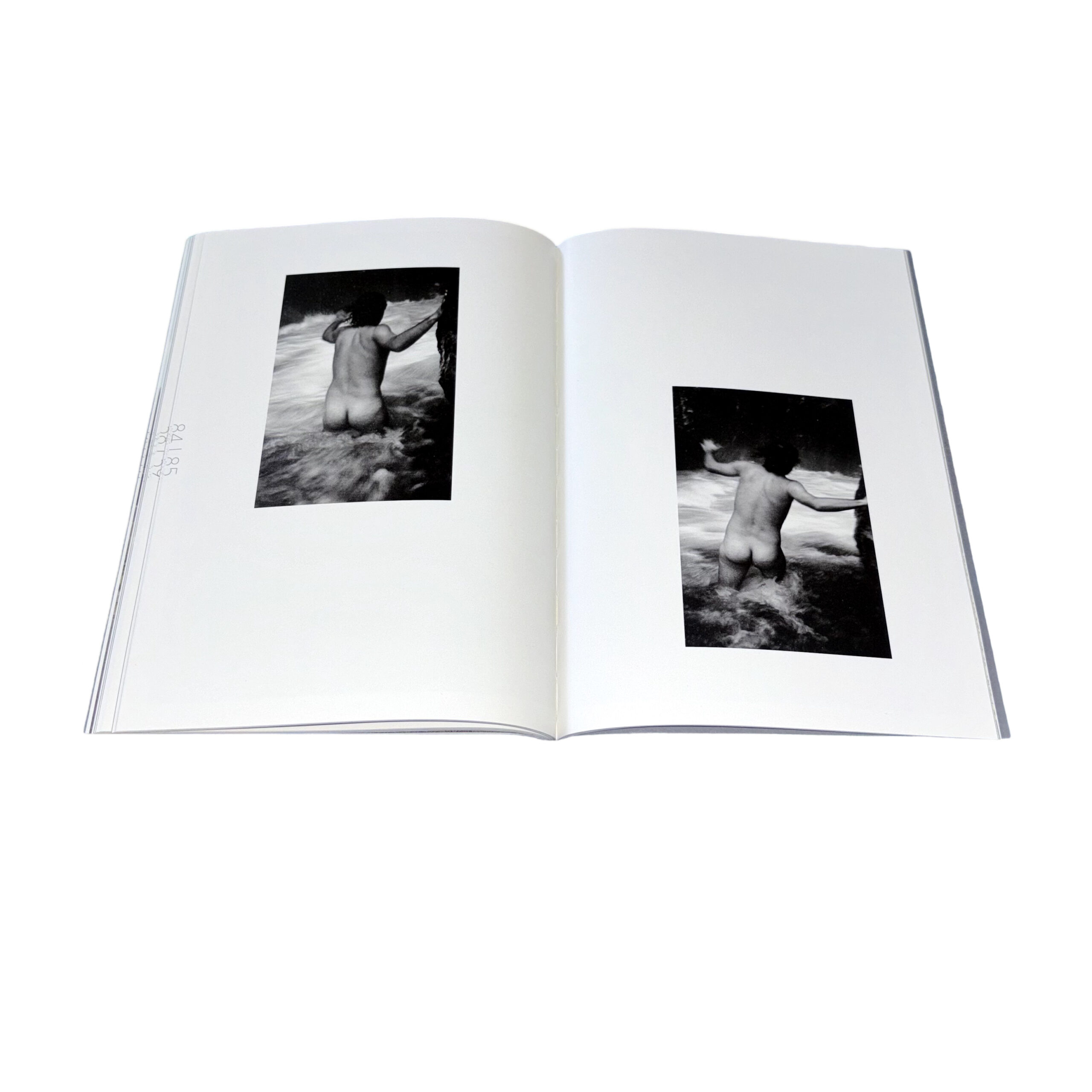 The Big Rot - Image 13