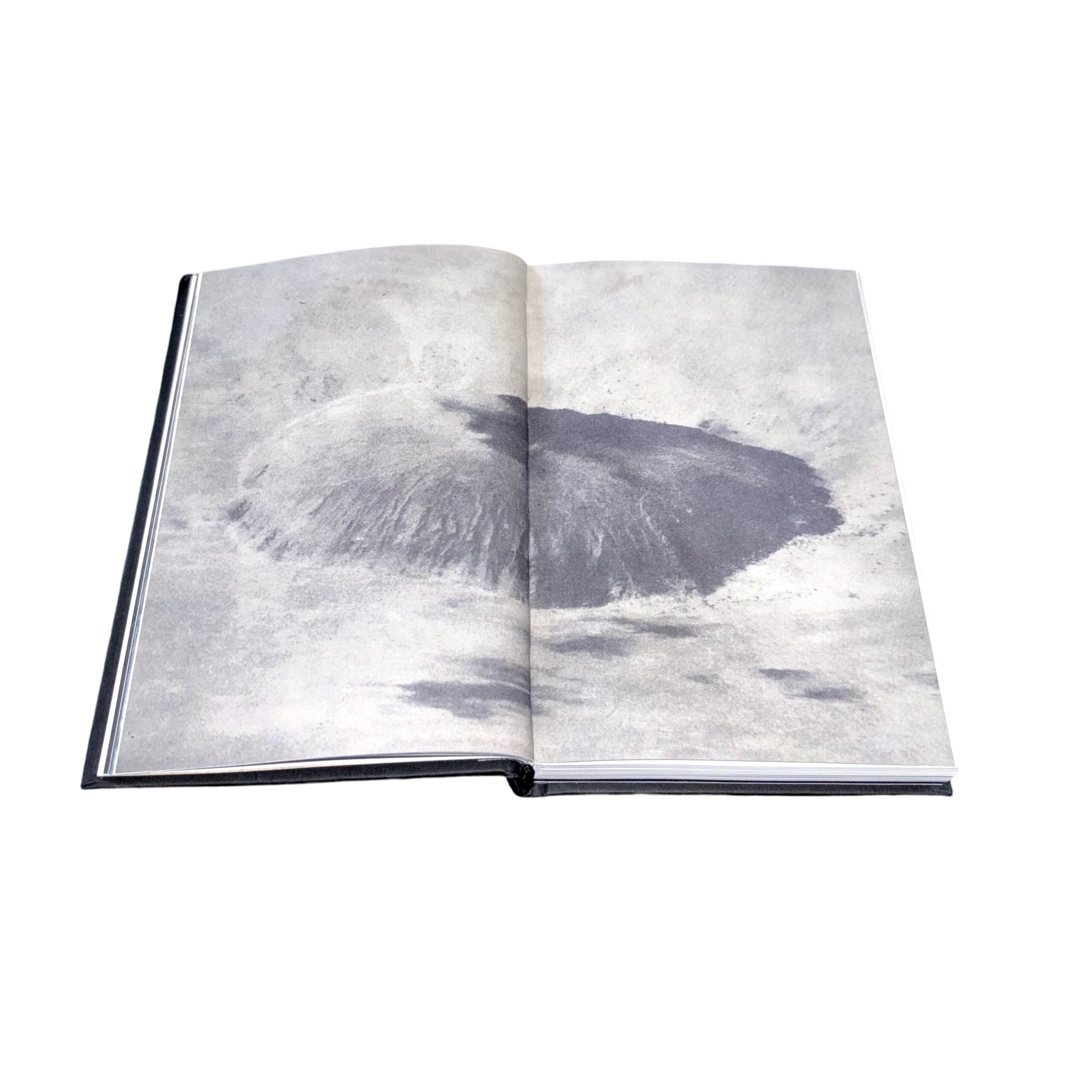 The Present - Image 4
