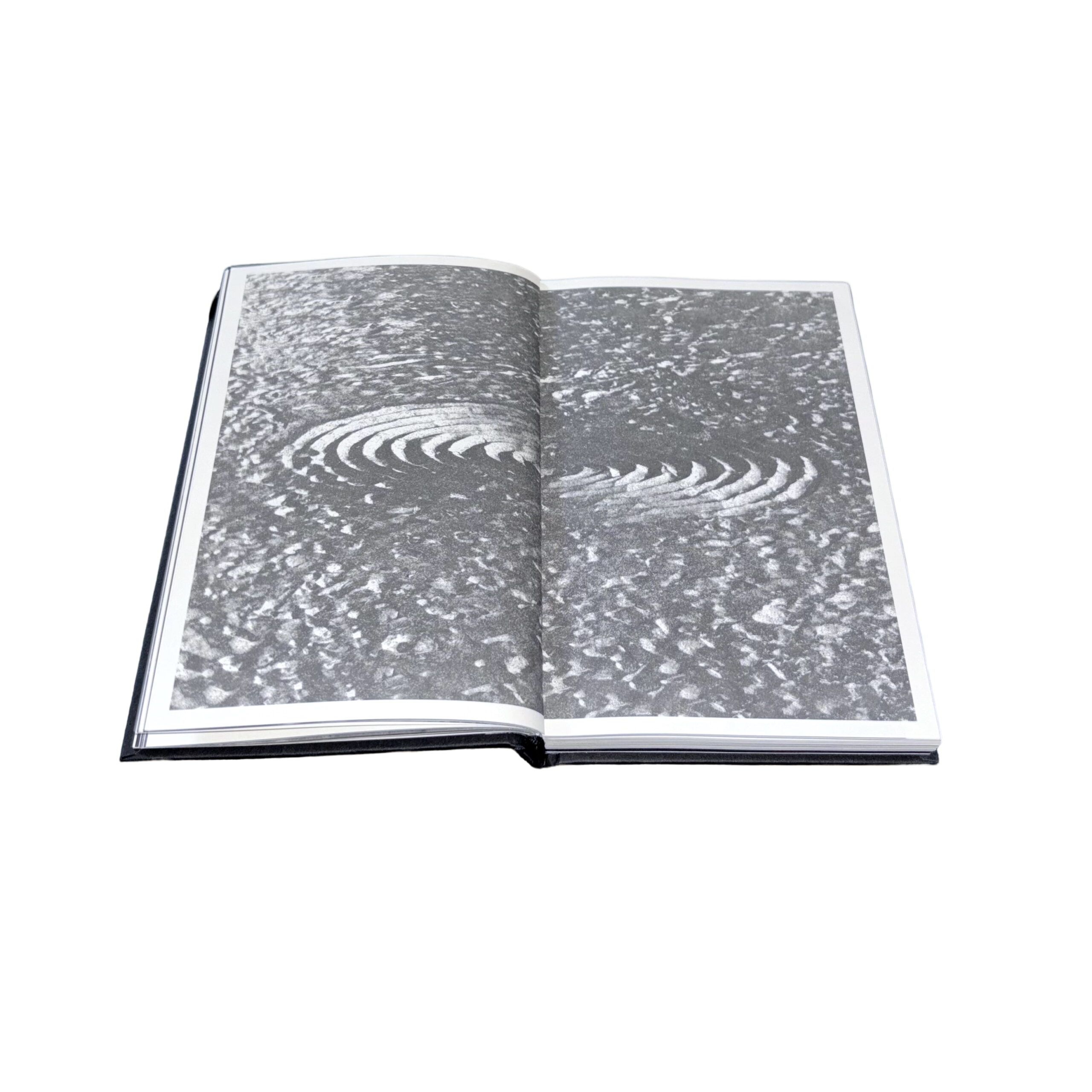 The Present - Image 5