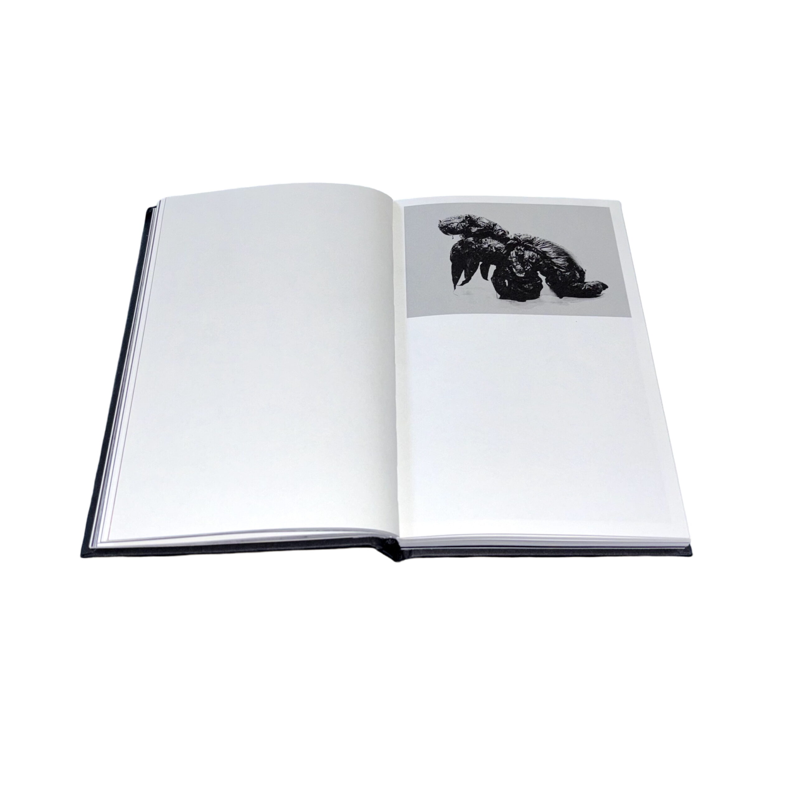 The Present - Image 6