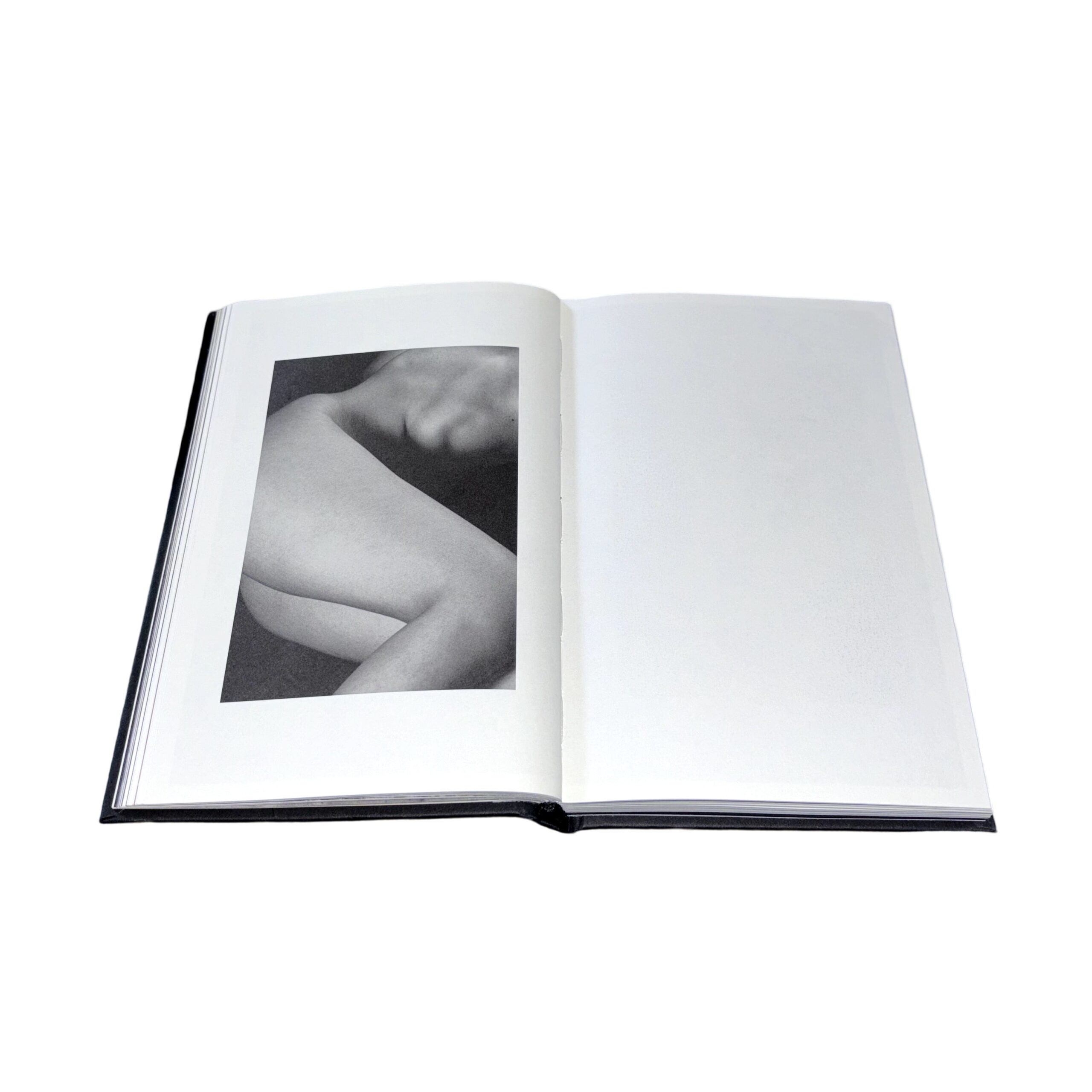 The Present - Image 7