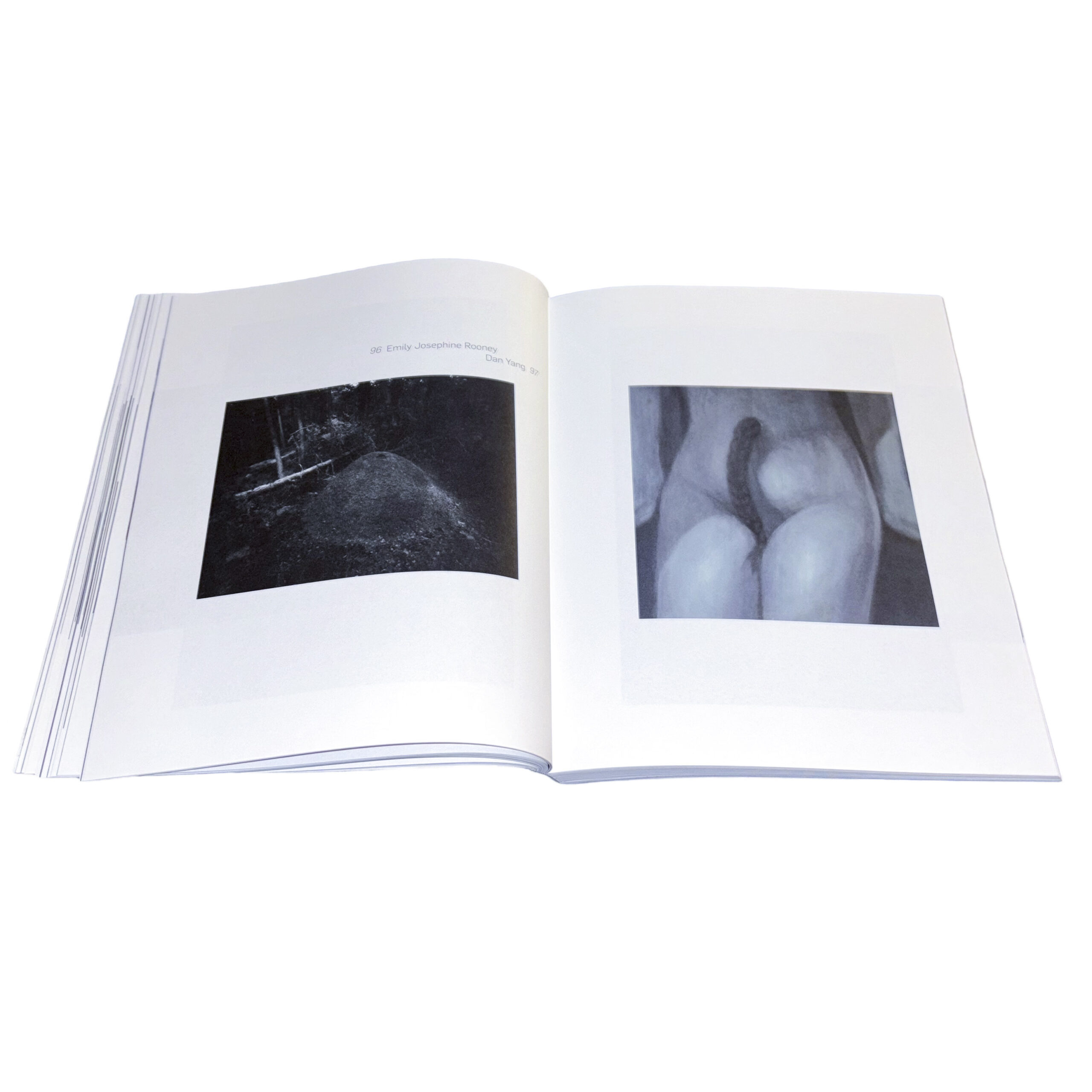 Z3NE - Image 6
