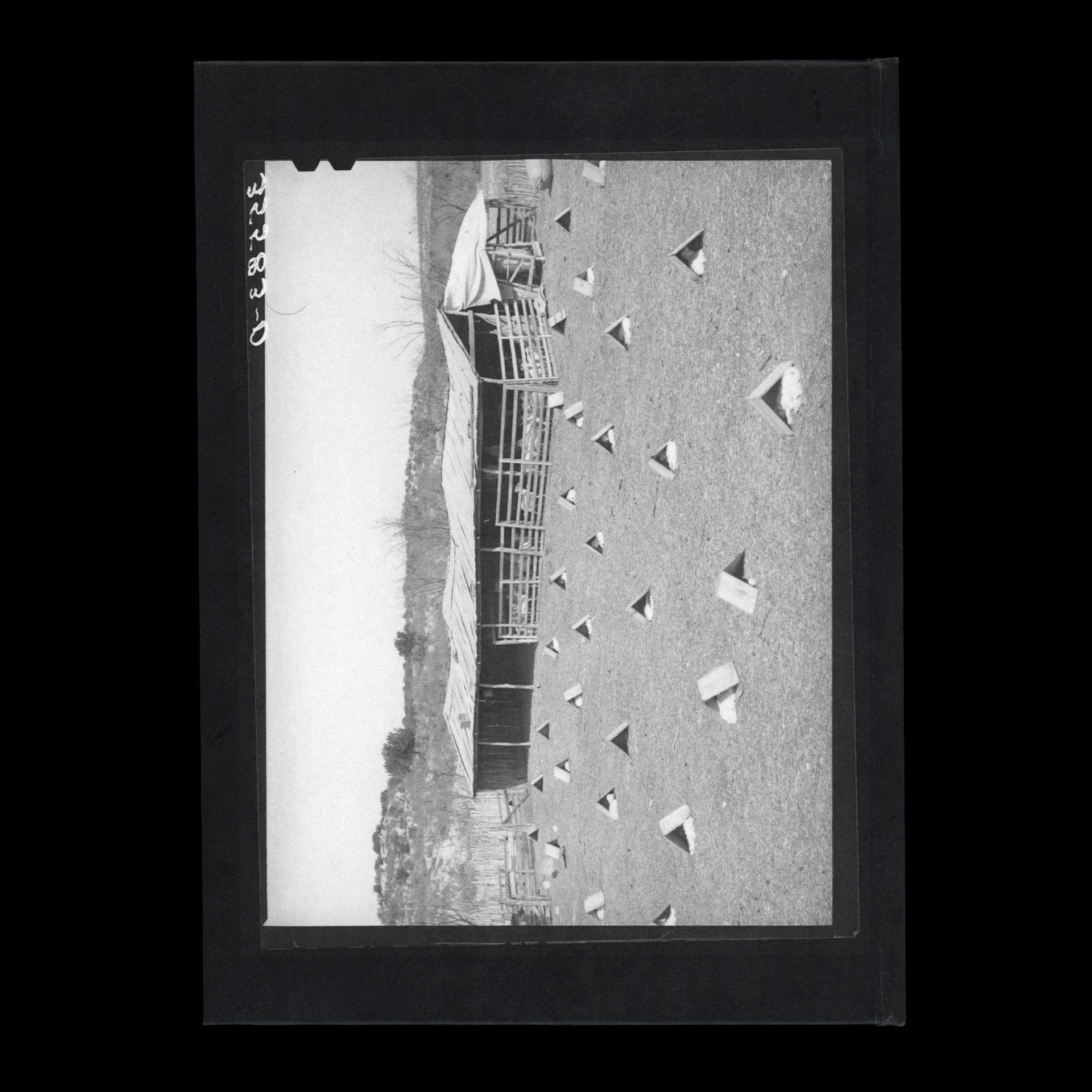 KIDS - Image 13