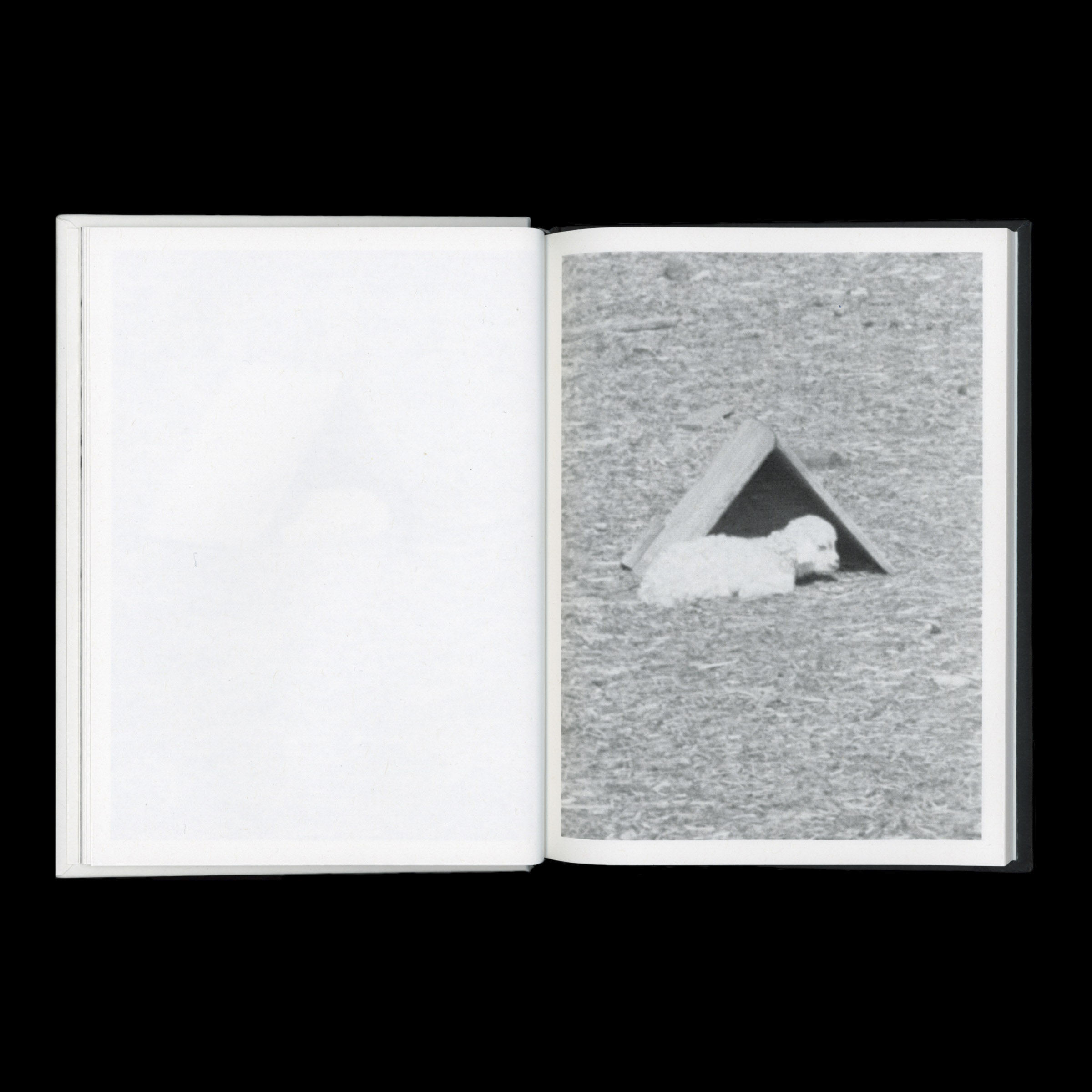 KIDS - Image 7