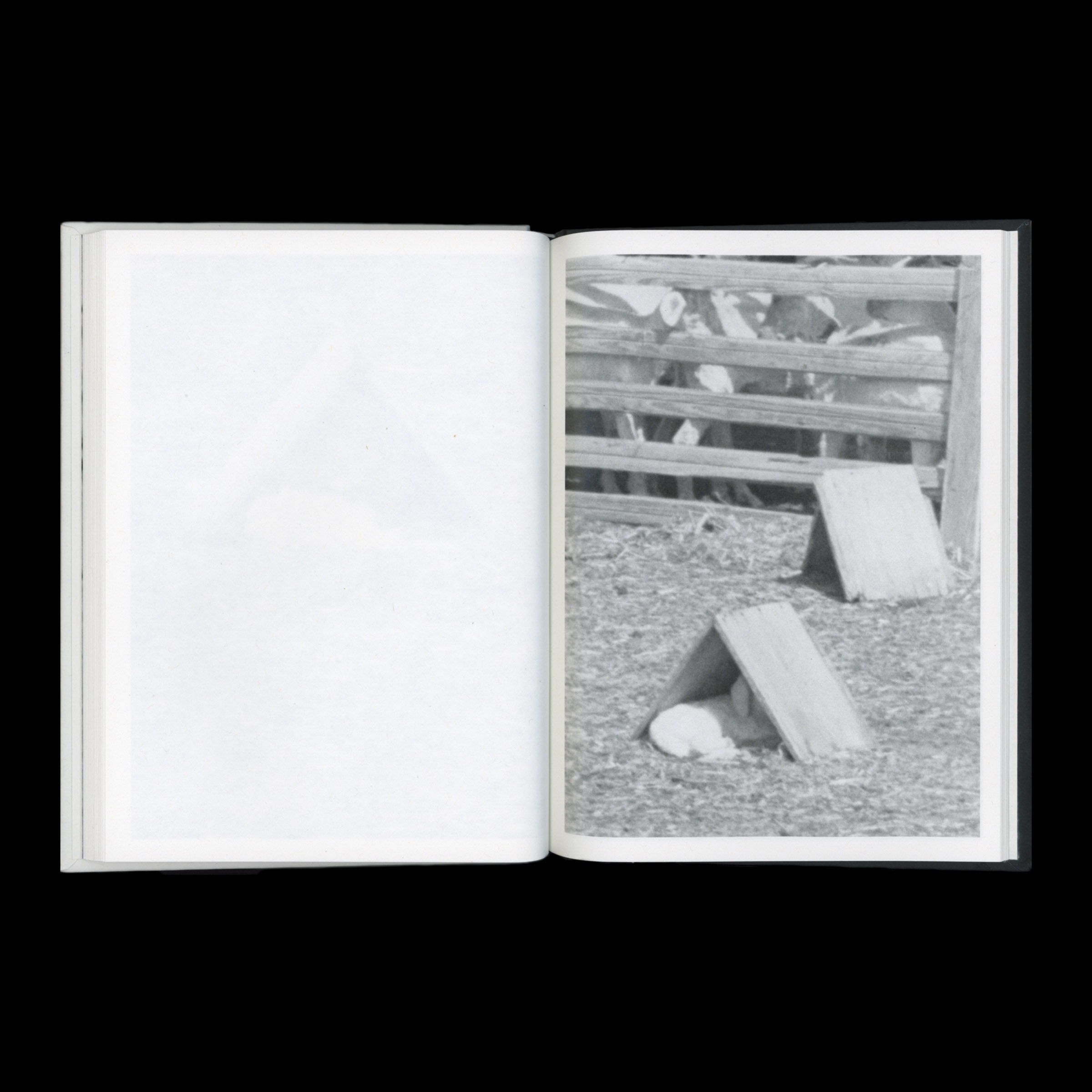 KIDS - Image 5