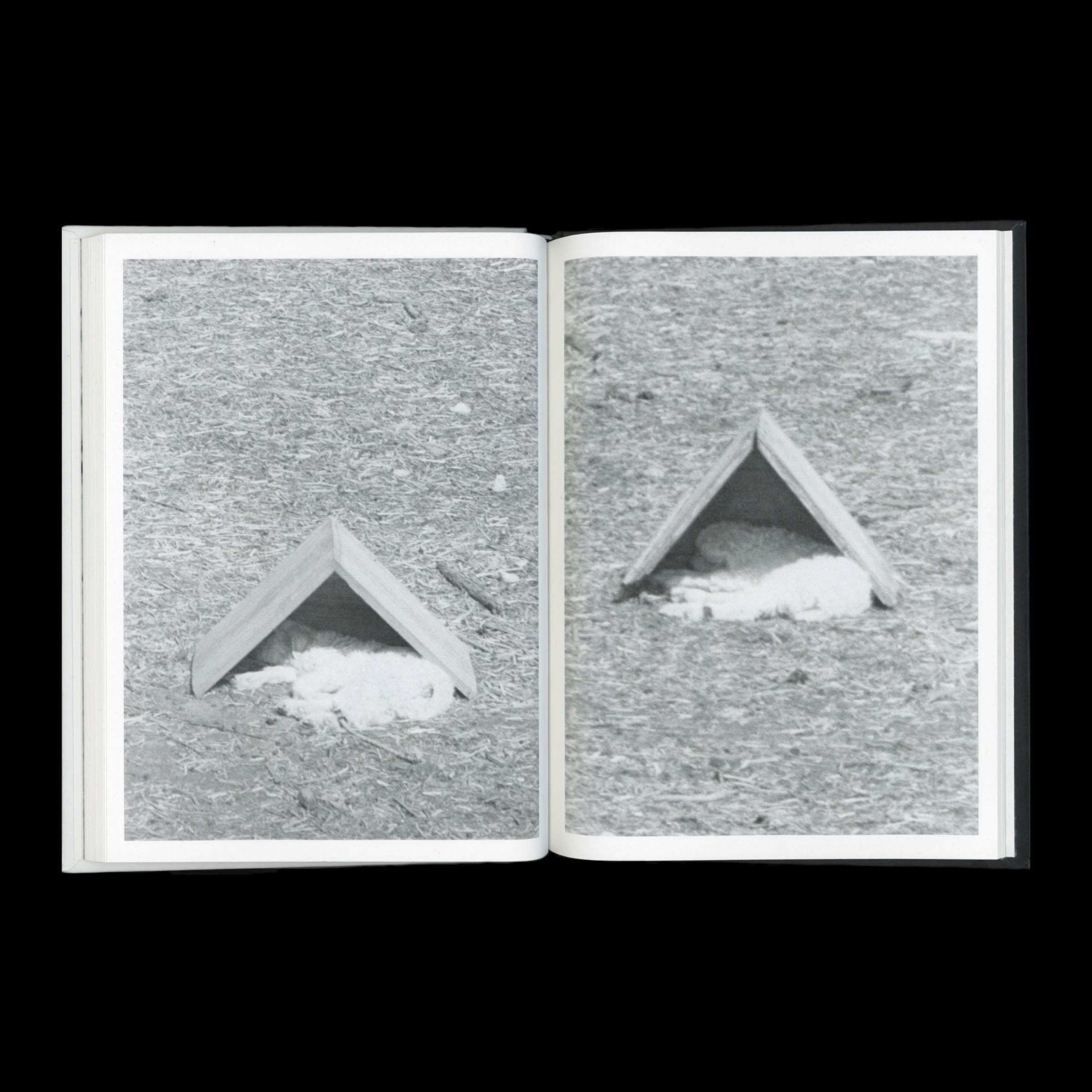 KIDS - Image 6