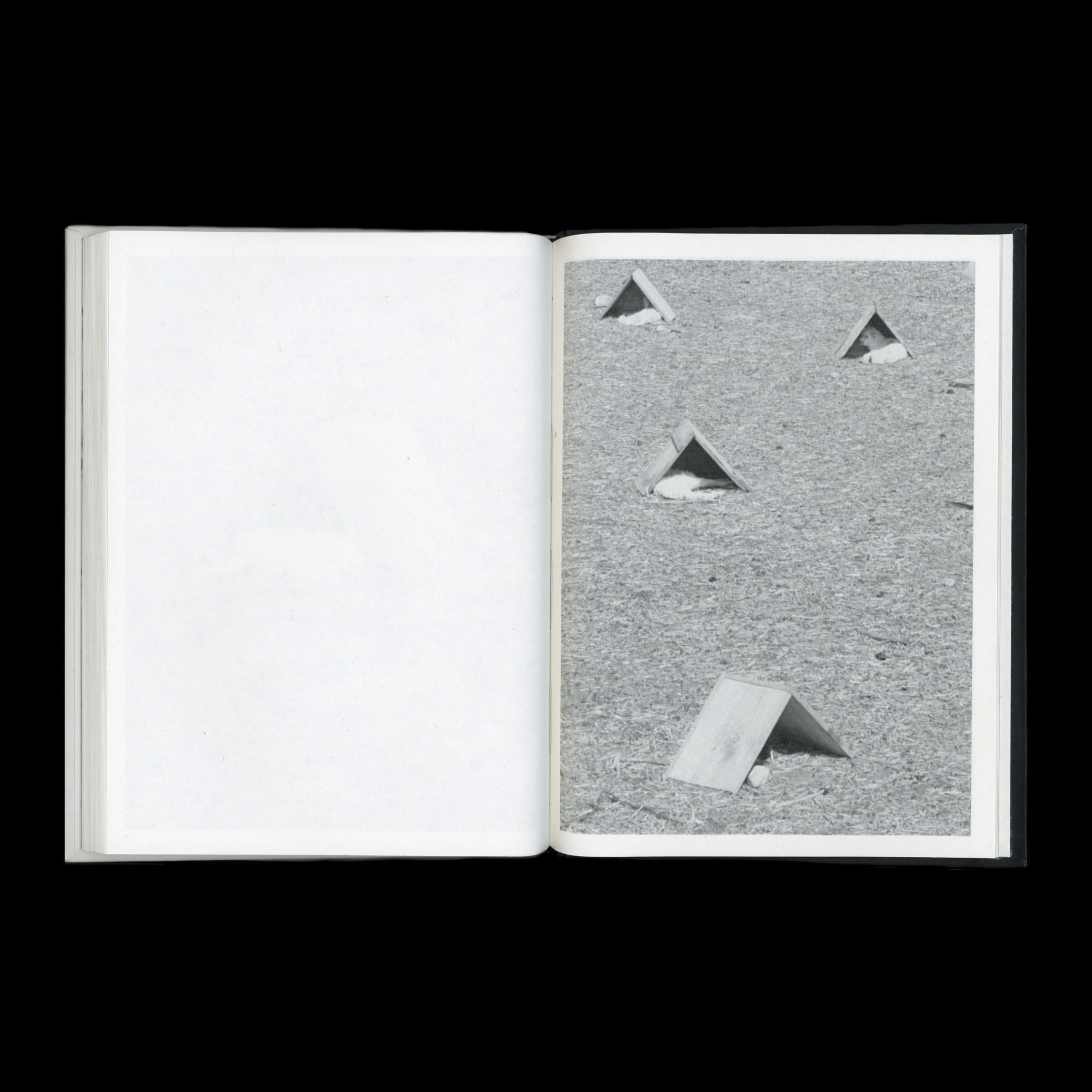 KIDS - Image 10