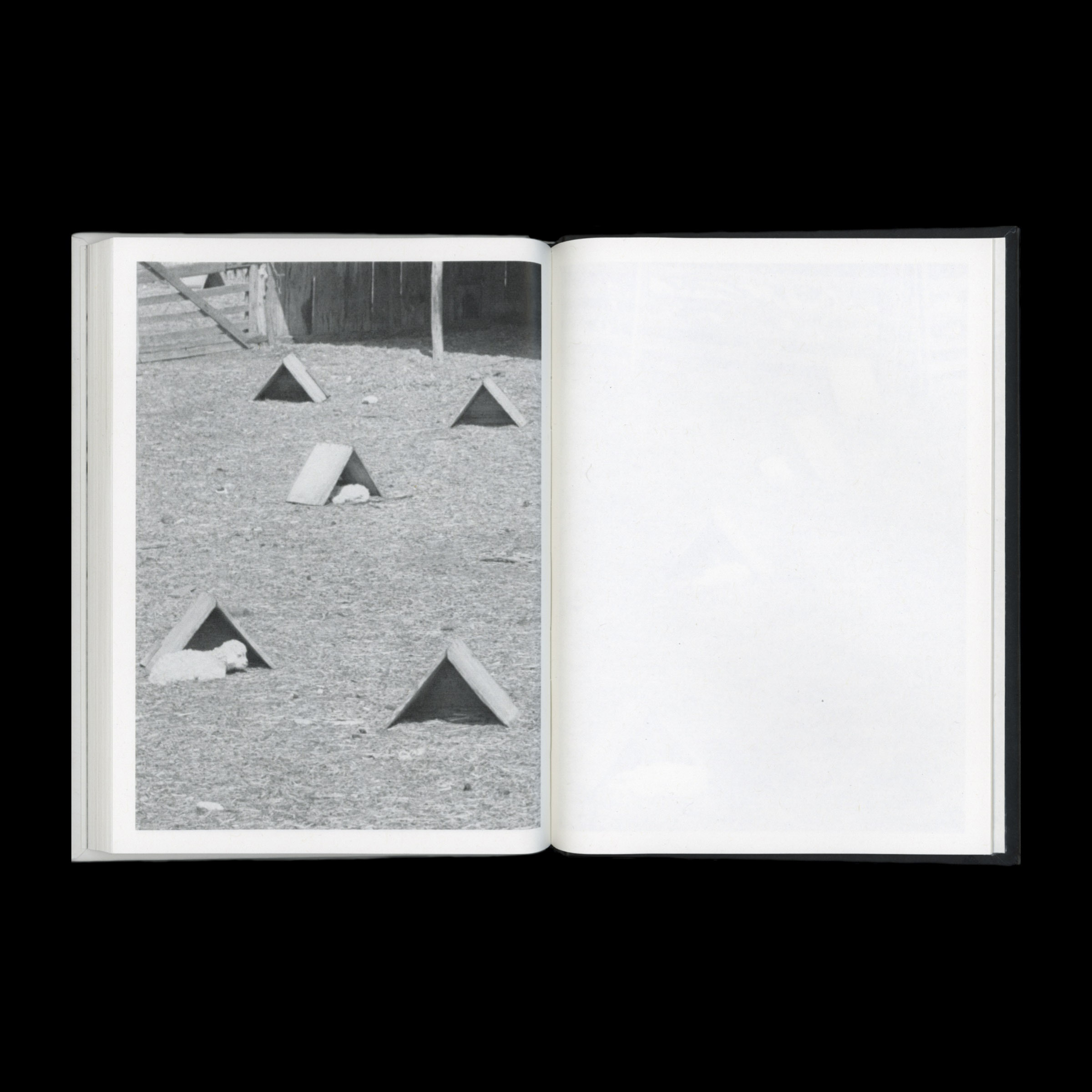KIDS - Image 11