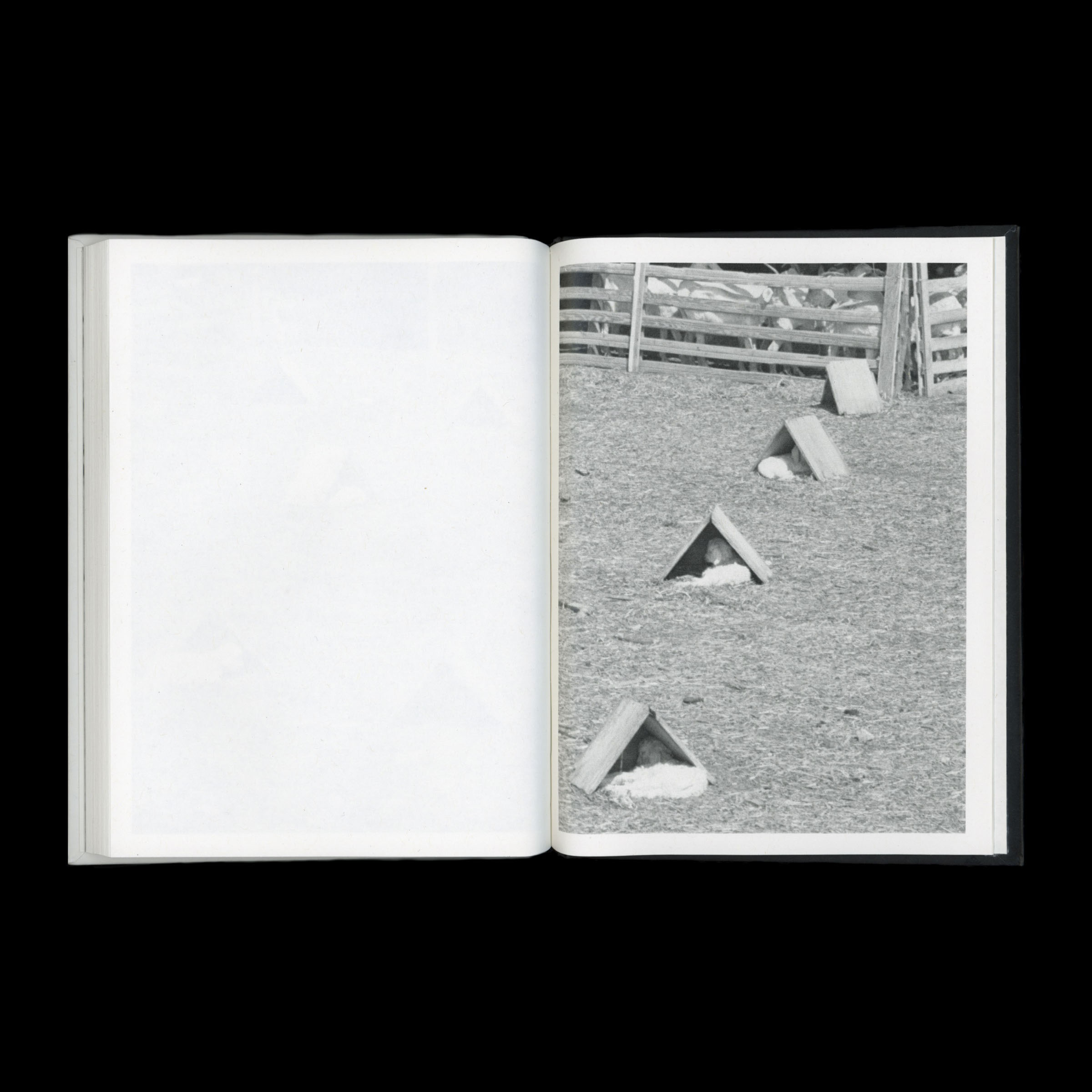 KIDS - Image 12