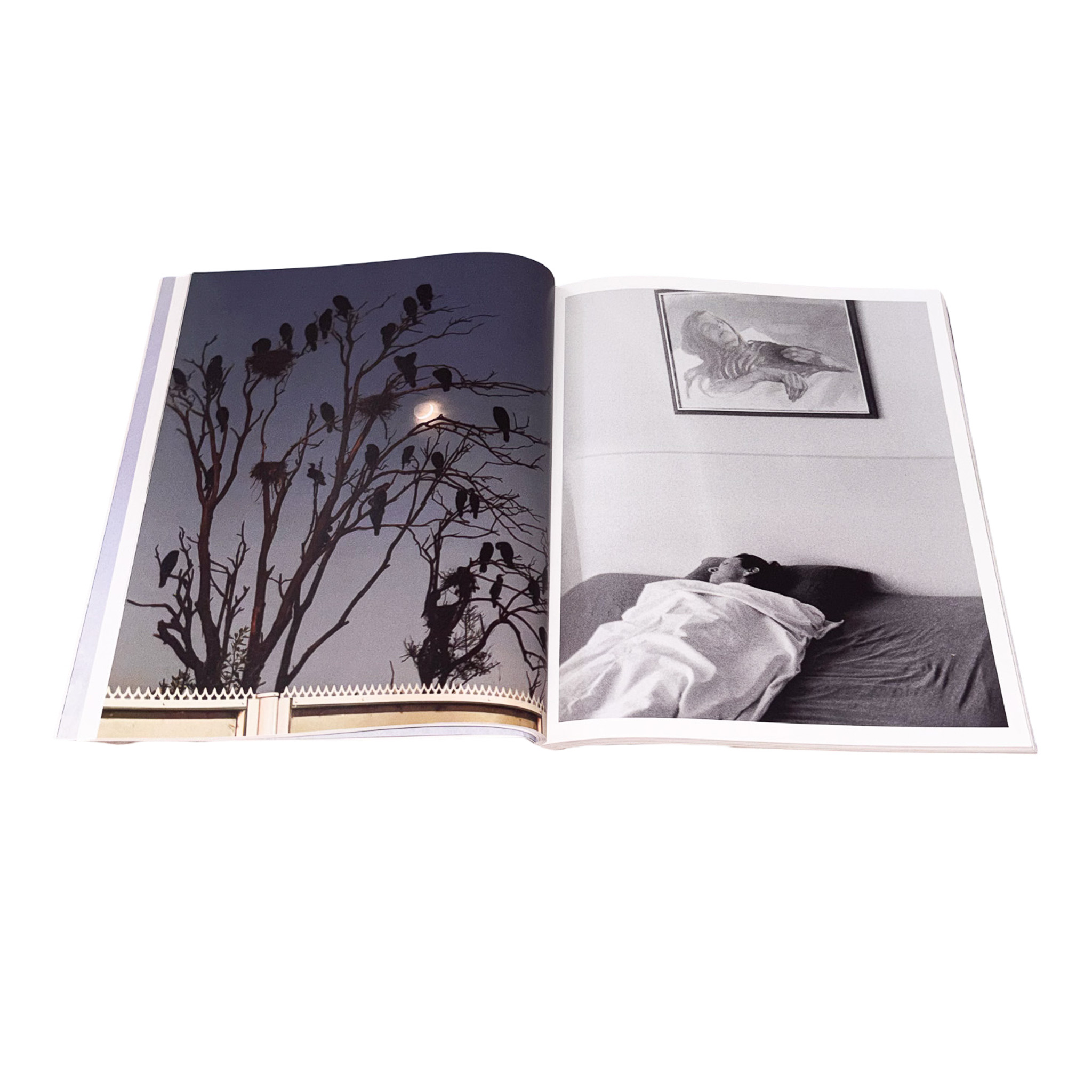 Z5NE (Artist Copy) - Image 7
